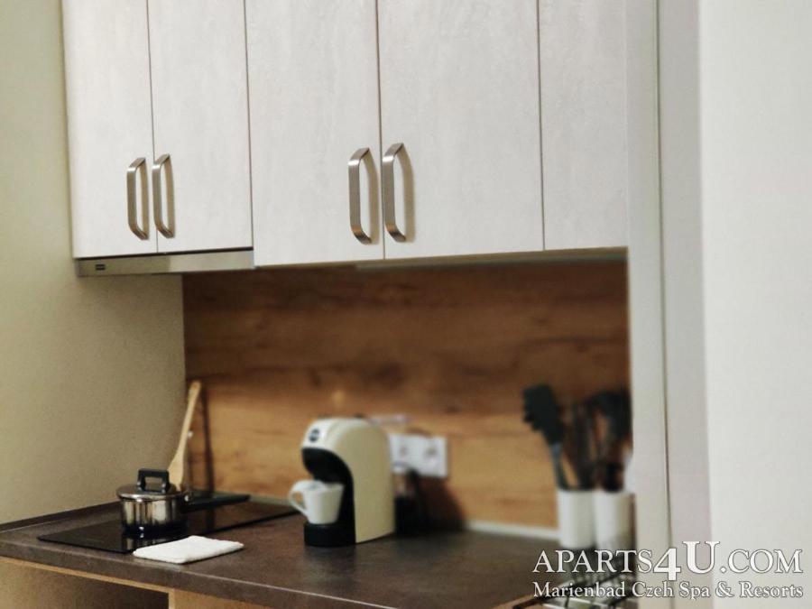 Apartment Grun Wald Marianske Lazne Luaran gambar
