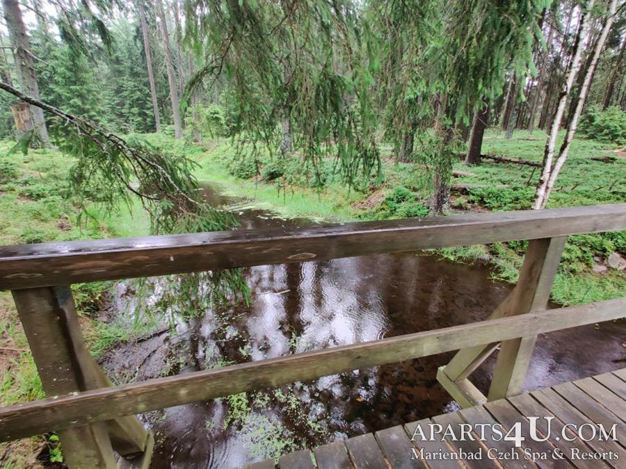 Apartment Grun Wald Marianske Lazne Luaran gambar