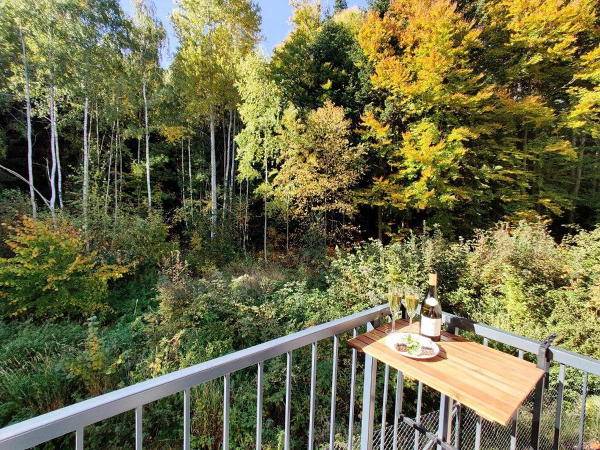 Apartment Grun Wald Marianske Lazne Luaran gambar
