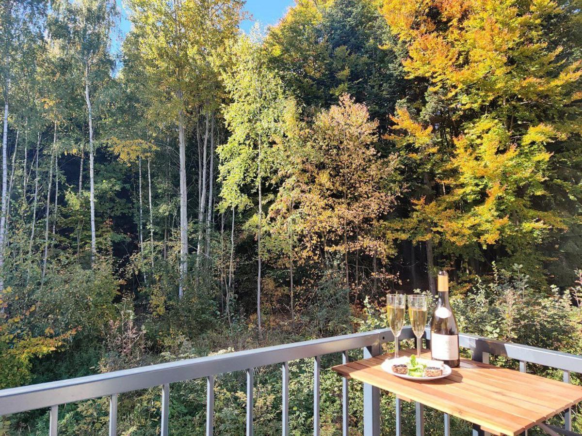 Apartment Grun Wald Marianske Lazne Luaran gambar